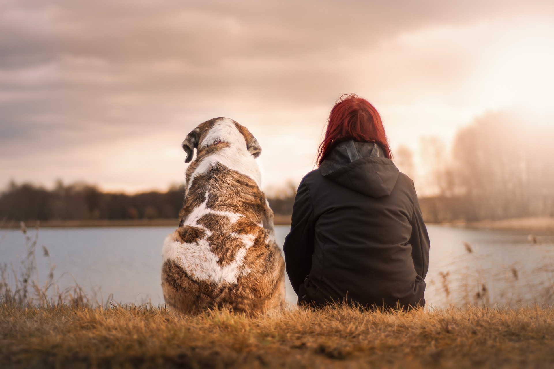 woman sits next to brown and white dog looking out at the water
